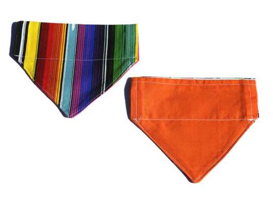 Cinco de Mayo/Orange Pet Bandana